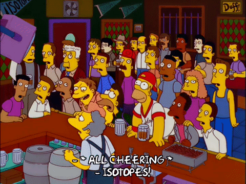 Springfield Isotopes fans