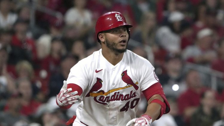 Resumen mitad de temporada: Saint Louis Cardinals