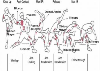 fases del pitcheo mlb en español beisbol