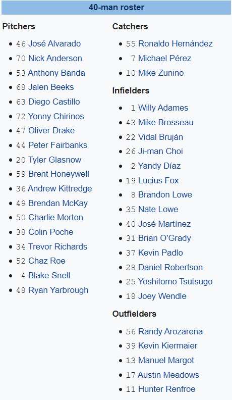 tampa bay rays 2020 roster beisbol mlb